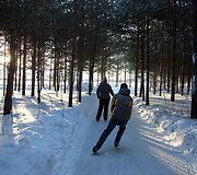 Kanadiečiai Kvebeko mi&scaron;ke i&scaron;liejo 13 km kelią pačiūžoms