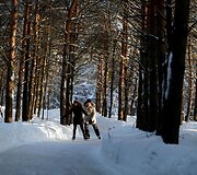 Kanadiečiai Kvebeko mi&scaron;ke i&scaron;liejo 13 km kelią pačiūžoms