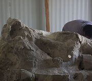 Paleontologai Meksikoje valo prie&scaron; metus rastus mamuto griaučius