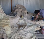 Paleontologai Meksikoje valo prie&scaron; metus rastus mamuto griaučius