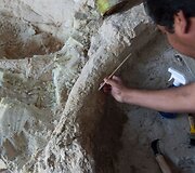 Paleontologai Meksikoje valo prie&scaron; metus rastus mamuto griaučius