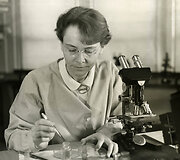 Už &bdquo;&scaron;okinėjančių genų&ldquo; atradimą 1983 m. Barbara McClintock buvo apdovanota Nobelio premija