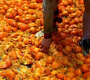 &Scaron;iaurės Italijoje užgavėnes &scaron;venčia mėtydami apelsinus