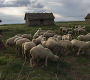 Nuo ežero tar&scaron;os labiausiai kenčia aplink jį esančių kaimų gyventojai