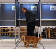 Parlamento rinkimai Nyderlanduose