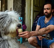 Meksikos kar&scaron;čius &scaron;unims padeda i&scaron;tverti specialiai jiems gaminami ledai