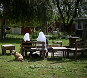 Marihuaną auginančios ir parduodančios vienuolės Kalifornijoje