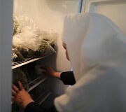 Marihuaną auginančios ir parduodančios vienuolės Kalifornijoje