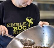 Australijoje populiarėja restoranai siūlantys patiekalus su vabzdžiais