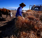 Toli nuo aplinkinių gyvenanti 78 metų australė ūkininkė ra&scaron;o poeziją apie vienatvę