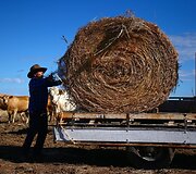 Toli nuo aplinkinių gyvenanti 78 metų australė ūkininkė ra&scaron;o poeziją apie vienatvę