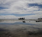Amazonės žiotyse naftos ie&scaron;koti planuojantys brazilai kelia pavojų vietinei bendruomenei ir gamtai