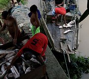 Amazonės žiotyse naftos ie&scaron;koti planuojantys brazilai kelia pavojų vietinei bendruomenei ir gamtai