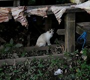 Amazonės žiotyse naftos ie&scaron;koti planuojantys brazilai kelia pavojų vietinei bendruomenei ir gamtai