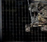 Prie&scaron; metus uždarytame Buenos Airės zoologijos sode dauguma gyvūnų vis dar narvuose