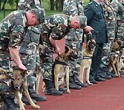 Čempionato uždarymas