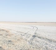 Pastačius Kokaralo užtvanką, dalyje Aralo jūros pakilo vandens lygis ir grįžo žuvys