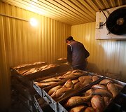 Pastačius Kokaralo užtvanką, dalyje Aralo jūros pakilo vandens lygis ir grįžo žuvys