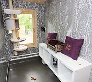 Prabangus kačių vie&scaron;butis, kuriame savaitė kainuoja daugiau nei 200 eurų