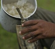 Brazilijos Pietų Mato Groso pelkėse gyvulius ganančių kaubojų kasdienybė