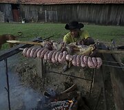 Brazilijos Pietų Mato Groso pelkėse gyvulius ganančių kaubojų kasdienybė