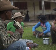 Brazilijos Pietų Mato Groso pelkėse gyvulius ganančių kaubojų kasdienybė