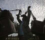 Brazilijos Pietų Mato Groso pelkėse gyvulius ganančių kaubojų kasdienybė