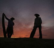 Brazilijos Pietų Mato Groso pelkėse gyvulius ganančių kaubojų kasdienybė