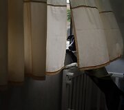 Sužeistų ar skriaustų &scaron;unų prieglauda Peru sostinėje