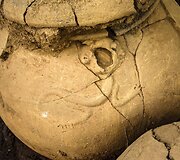 Stadiono statybvietėje Nikaragvoje rasti daugiau nei 1000 metų senumo artefaktai