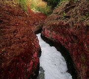 Verdantis gyvenimas prie Gango upės Indijoje