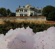 Verdantis gyvenimas prie Gango upės Indijoje