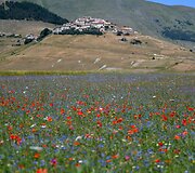 Italijos Umbrijos regionas