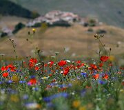 Italijos Umbrijos regionas