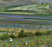 Italijos Umbrijos regionas