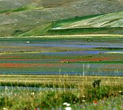 Italijos Umbrijos regionas