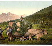 Pasaki&scaron;ka &Scaron;veicarija 1890 metais
