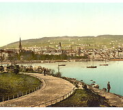 Pasaki&scaron;ka &Scaron;veicarija 1890 metais
