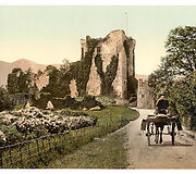Airija 1890-1900 metais