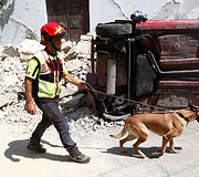 Gelbėjimo operacija po žemės drebėjimo italijoje