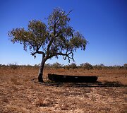 7 metus sausros kamuojamas Stounhendžas Australijoje