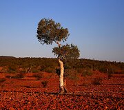 7 metus sausros kamuojamas Stounhendžas Australijoje