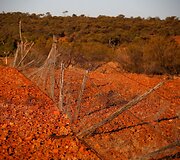 7 metus sausros kamuojamas Stounhendžas Australijoje