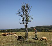 Tu&scaron;tėjantys kaimai Serbijoje