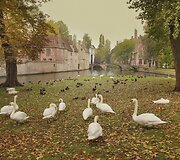 Briugė Belgijoje