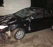 Prie Vilniaus du automobiliai susidūrė su briedžiu