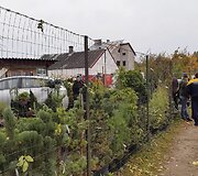 Įvykio vietoje