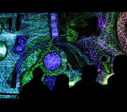 &bdquo;Signal Festival&ldquo; &ndash; &scaron;viesų festivalis Prahoje