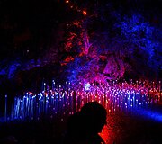 &bdquo;Signal Festival&ldquo; &ndash; &scaron;viesų festivalis Prahoje