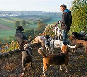 &Scaron;unų vie&scaron;butis Vokietijoje